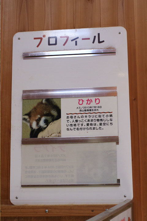 JR鯖江駅　ありがとう・・・　そして西山動物園へ_d0072106_13174811.jpg