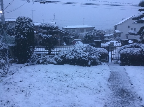 2024/03/08　金曜　この冬4度目の雪_d0028773_16552715.jpg