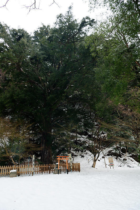 2024年京都の雪景色@東舞鶴　金剛院_f0032011_19112322.jpg