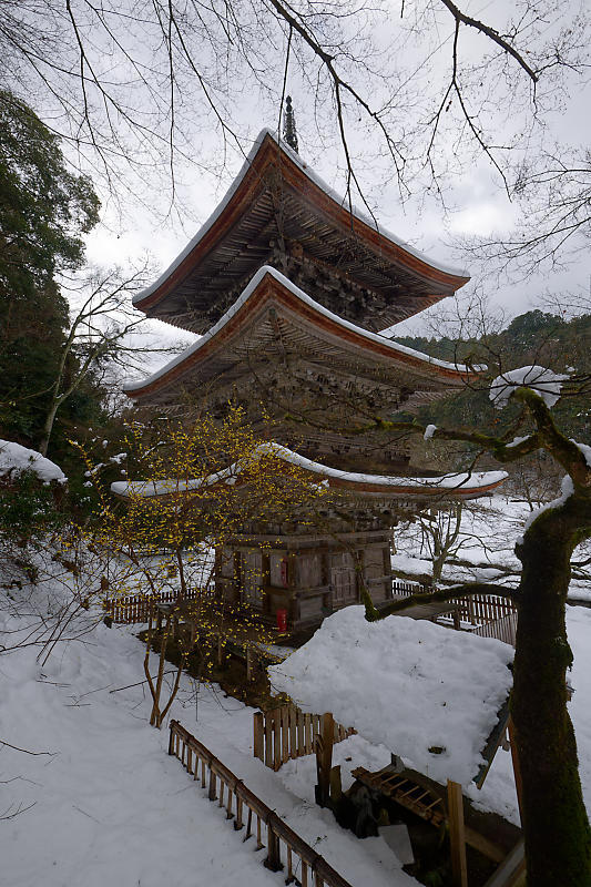2024年京都の雪景色@東舞鶴　金剛院_f0032011_19135558.jpg