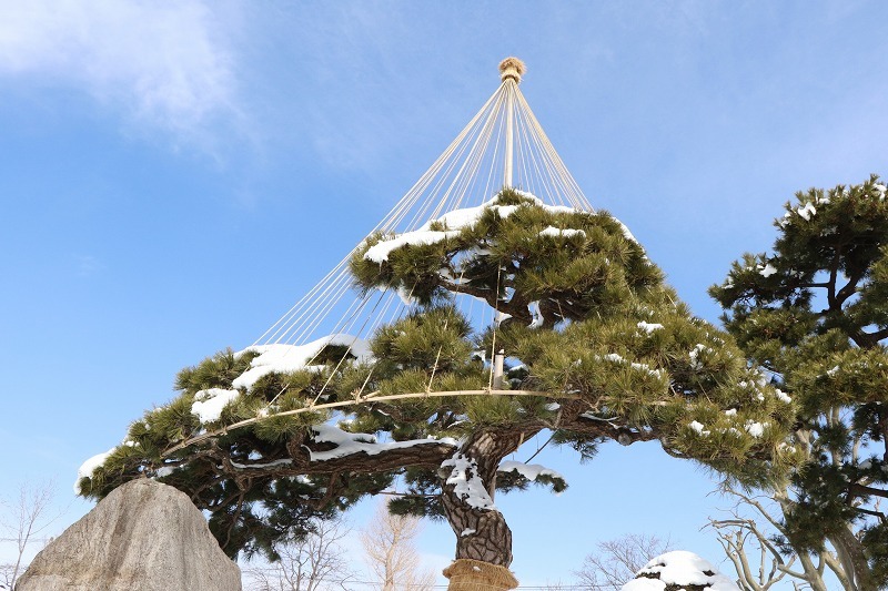 3月6日(水）　函館公園へ　4_b0250154_22104988.jpg