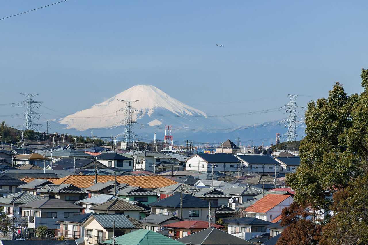 写真で見る里山のみどころ_d0177705_11415018.jpg