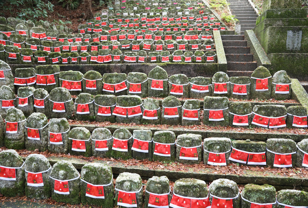 御所市　九品寺　南天　紫陽花　千体仏　畝傍山_c0108146_23181489.jpg