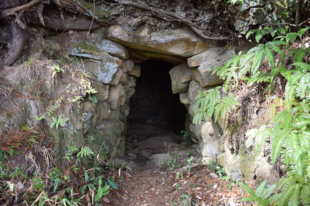 古代城と中世城が混在する城山城。　その１　＜古墳群・登山道＞_e0158128_16431167.jpg