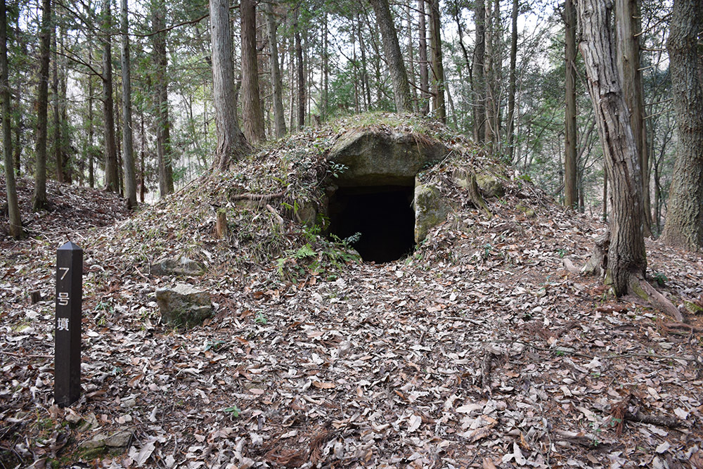 古代城と中世城が混在する城山城。　その１　＜古墳群・登山道＞_e0158128_16482694.jpg