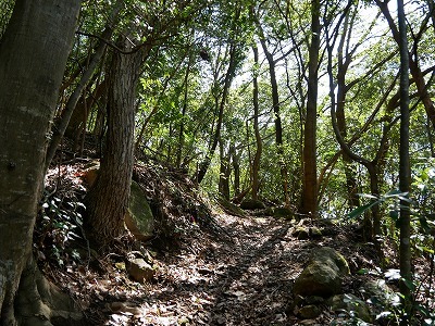 大分のかくれた名山歩き（権現山・白鹿山）：豊後大野市千歳町！_e0272335_17200757.jpg