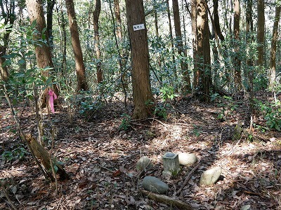 大分のかくれた名山歩き（権現山・白鹿山）：豊後大野市千歳町！_e0272335_17224571.jpg