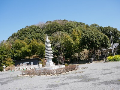 大分のかくれた名山歩き（権現山・白鹿山）：豊後大野市千歳町！_e0272335_17400387.jpg