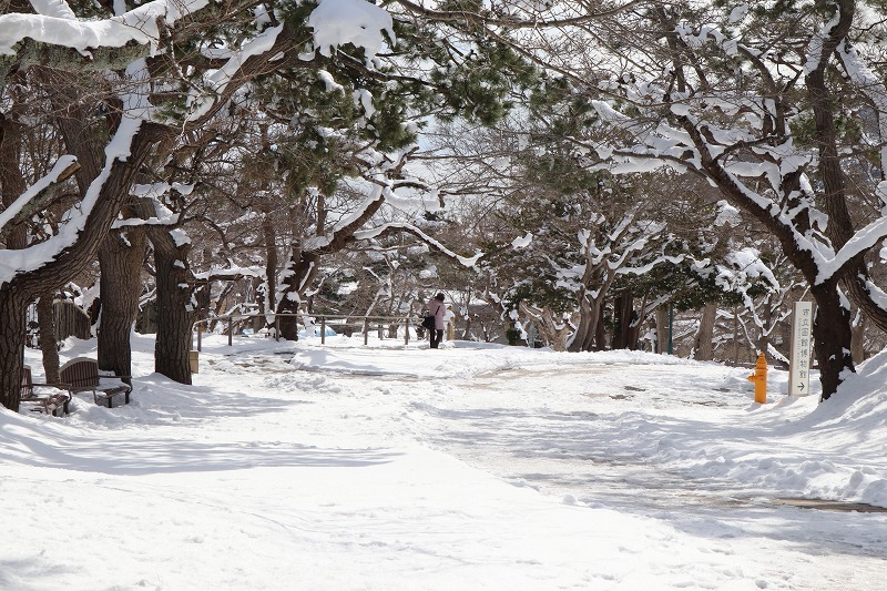 3月6日(水）　再び、函館公園に戻る　_b0250154_20203161.jpg