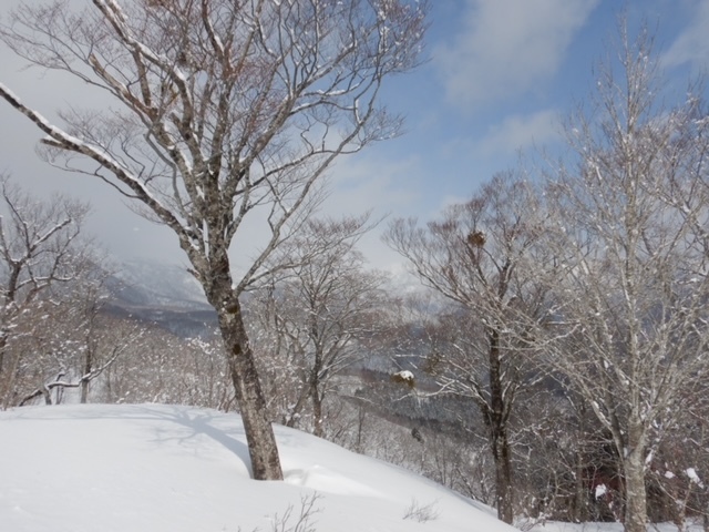 気軽に雪山散歩…石徹白・杉山_c0359615_23052230.jpeg