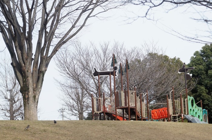 ■ウォーキング続（５）【ラストは　相模原北公園】_b0033423_03355343.jpg