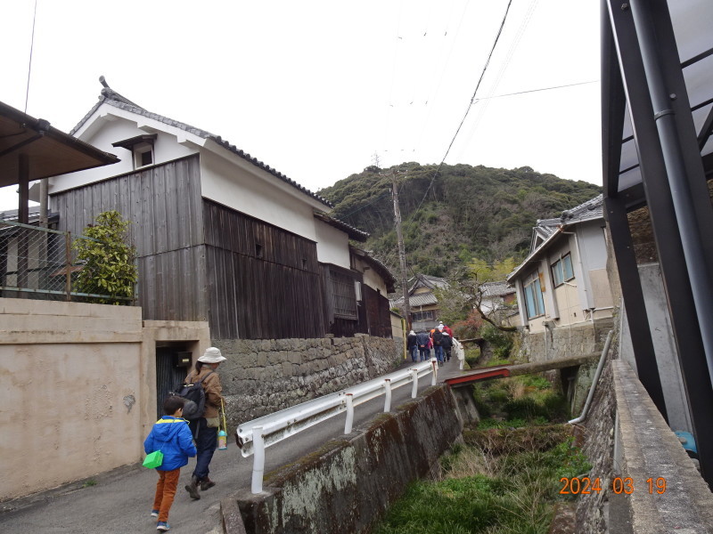 シイタケ菌打ち　草刈り　階段補修　等々・・・みさき里山クラブ定例活動日・・・孝子の森_c0108460_17172254.jpg