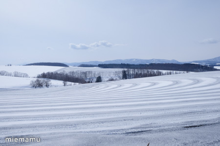 北瑛の景色、融雪模様と十勝岳連峰～3月の美瑛_d0340565_19532452.jpg