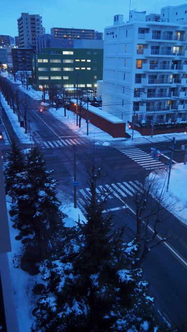 03/19                    　　17年振りにマイナス金利政策　日銀解除決定　　　プーチン大統領5選　実権３0年　侵攻継続表明         　　　_c0183777_20173762.jpg