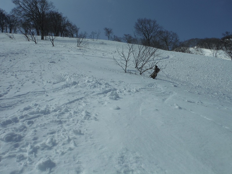 越前甲　山スキー_f0016502_19082255.jpg