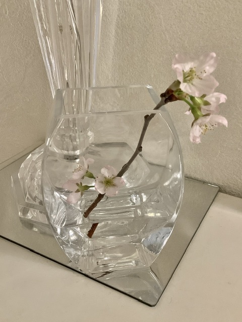 春の嵐と桜。_e0108851_16543329.jpeg