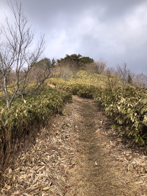 星山@真庭市星山_f0197703_20284613.jpeg