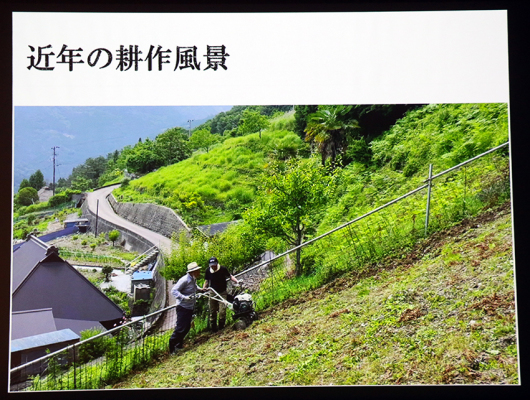 世界農業遺産「にし阿波の傾斜地農耕システム」取組報告会-03♪_d0058941_20134807.jpg