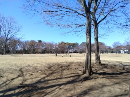 歩く「浜田山駅南地域の4公園」_b0089323_12352304.jpg