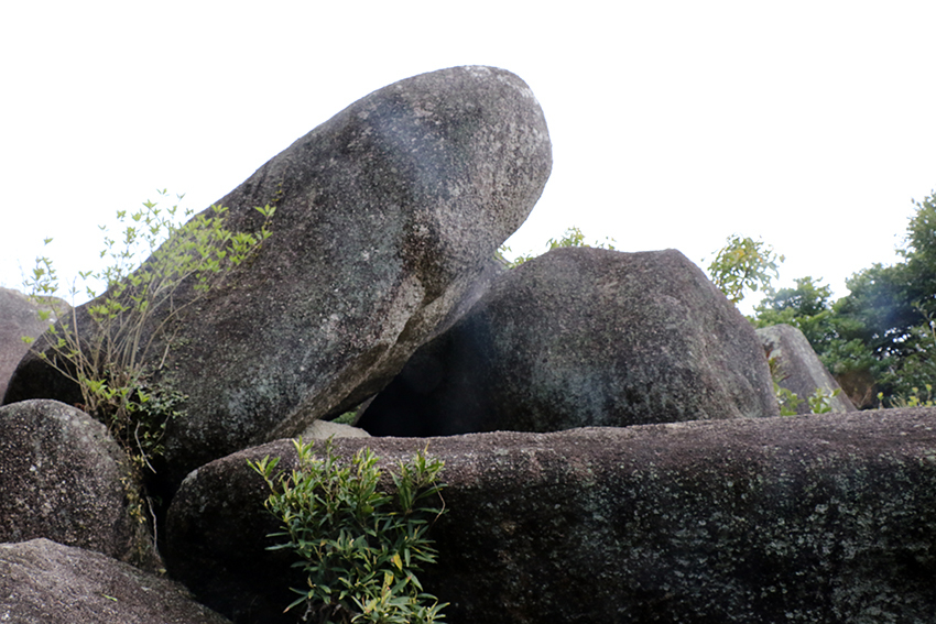 土佐清水市「唐人石巨石群」♪_d0058941_21384769.jpg