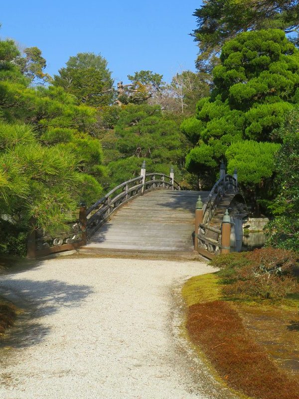 京都御所特別拝観「庭園」20240322_e0237645_11182505.jpg