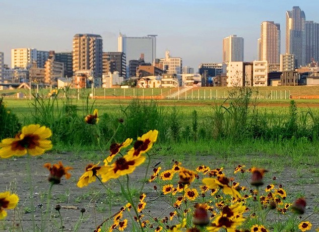 ＜2024年3月＞多摩川・遡上探訪記③：池上本門寺～ガス橋周辺の見所を周遊_c0119160_09074547.jpg