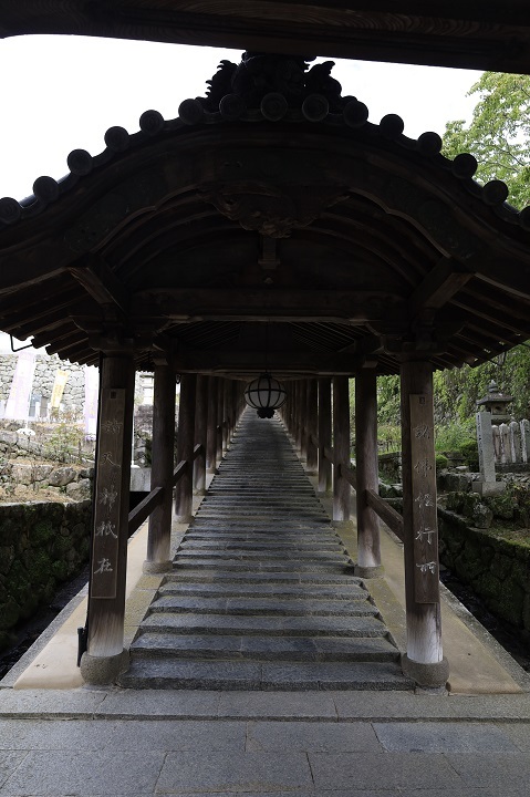 奈良を旅する　その6　長谷寺（西国第八番　二巡目）_e0017051_08424260.jpg