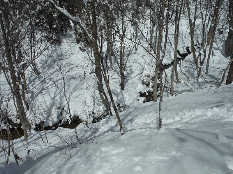 九頭竜　木無山　山スキー_f0016502_14142838.jpg