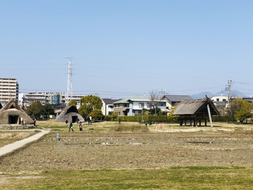 静岡１日ドライブ　サウナ『しきじ』&#128704;～静岡おでん『おがわ』～国宝『久能山東照宮』～三保の松原～清水　魚市場&#128031;_a0100919_14521572.jpg