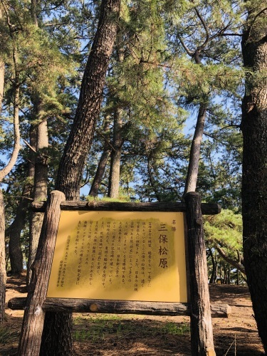 静岡１日ドライブ　サウナ『しきじ』&#128704;～静岡おでん『おがわ』～国宝『久能山東照宮』～三保の松原～清水　魚市場&#128031;_a0100919_14543538.jpg