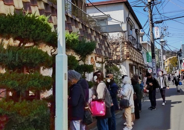 Daily notes : 春は足踏ing、kamakura walking_b0358719_08324230.jpg