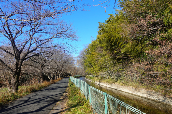 見沼自然公園へ_f0133213_19132667.jpg