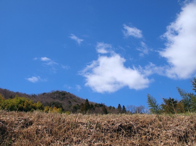 青空、桜・・・_f0198771_17212387.jpg