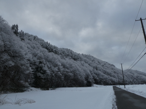 矢ノ原道路 間もなく開通_c0189218_05134266.jpg