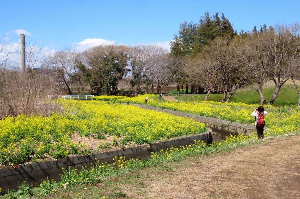 花桃の咲く公園で・・_b0236251_18551777.jpg