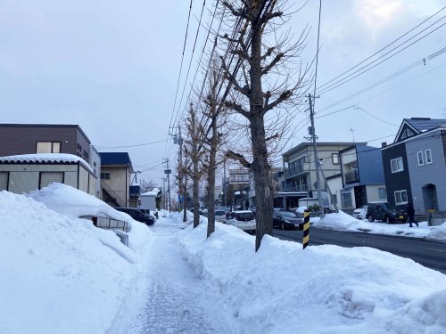 雪と雨の札幌出張_f0314758_15392139.jpg