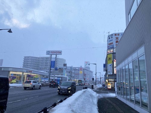 雪と雨の札幌出張_f0314758_15393623.jpg