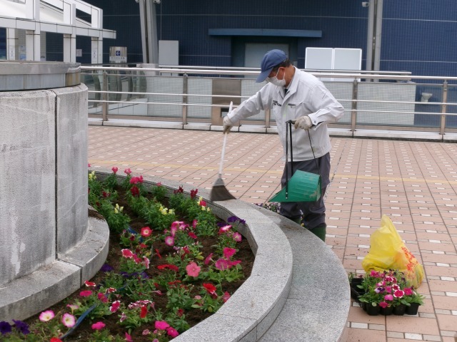 名古屋港水族館前花壇の植栽R6.4.8_d0338682_07584863.jpg