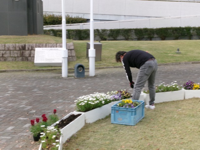 名古屋港水族館前花壇の植栽R6.4.8_d0338682_08002531.jpg