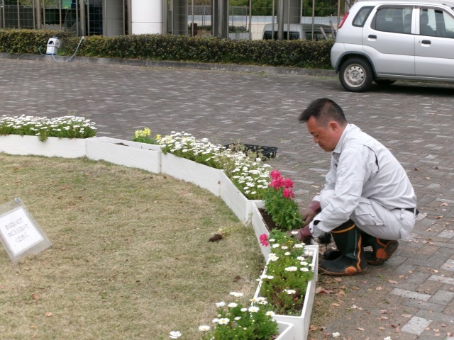 名古屋港水族館前花壇の植栽R6.4.8_d0338682_08003463.jpg