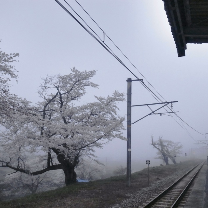 ＃706〜梁瀬駅の桜〜_d0116563_14365660.jpg