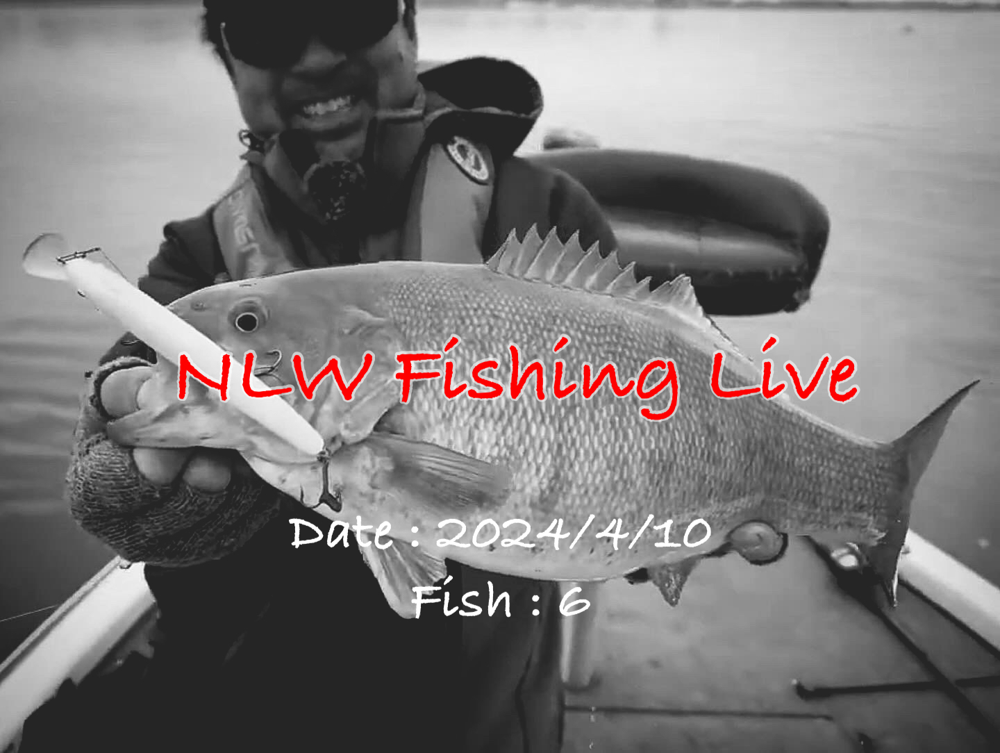 NLW Fishing Live - 2024/4/10 - 早春のナイアガラリバーでカワスモ狙い - Nishine Lure Works　裏日記