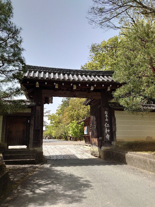 2024桜 仁和寺は… - 京都ときどき沖縄ところにより気まぐれ