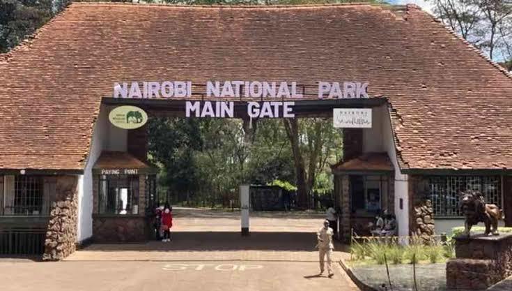 ナイロビ国立公園 - 人生最大のピンチをチャンスに変えよう！