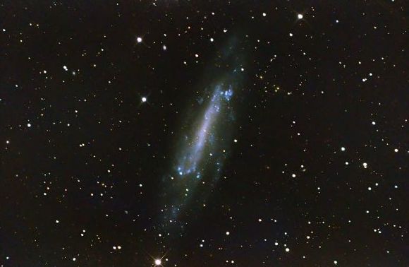 りゅう座の銀河NGC4236をASI2600MCPで・・・ - みずがきの森から