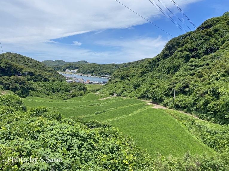 壱岐の旅（2024年6月）_b0348205_23311051.jpg