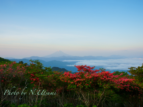 ツツジと富士山ー山梨県ー6月１７日_d0155021_00042029.jpg