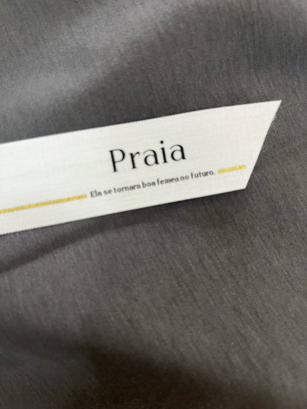 プライア Praia 新作Tシャツいろいろ入荷しました!_e0076692_15582637.jpg