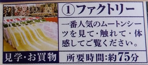 無料バスツアー ご招待 STEPトラベル : 元気ばばの青春日記 気持ちだけは２０歳 ⑥