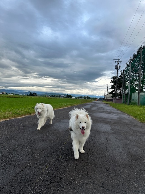 7月16日“雨上がりの…”_d0069235_03420216.jpg